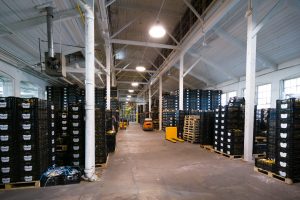 Flowers under a pergola