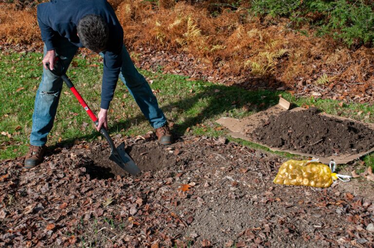 Man digs a trench in a flower bed to plant bulbs.