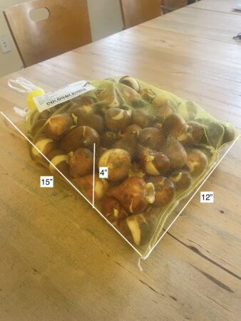 A bag of tulip bulbs with measurements. 15" long, 12" wide, and 4" tall.