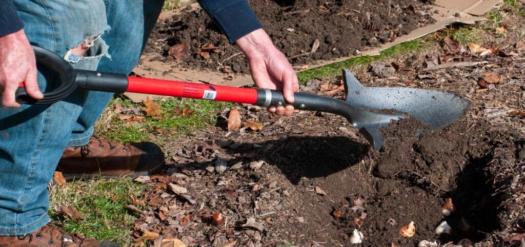 Person pushing dirt over flower bulbs, from Colorblends.