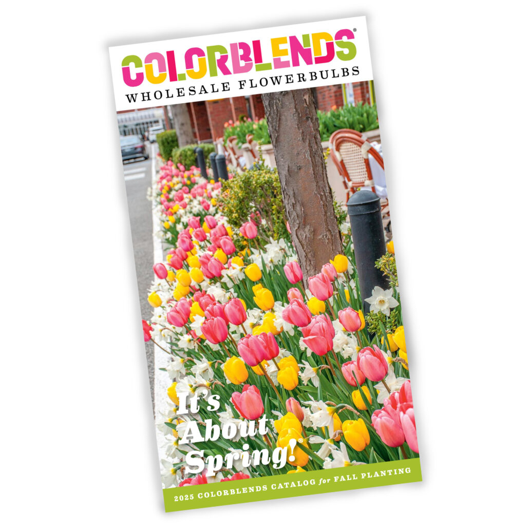 Colorblends 2025 Catalog Cover