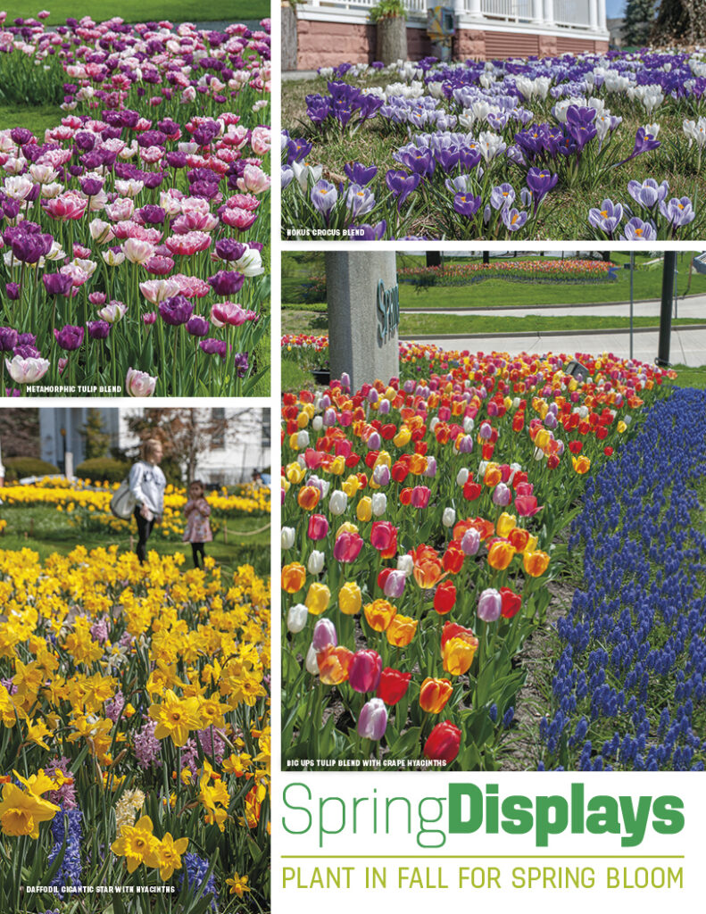 cover of spring displays booklet