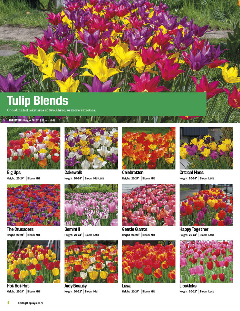 tulip blend page of springdisplays booklet