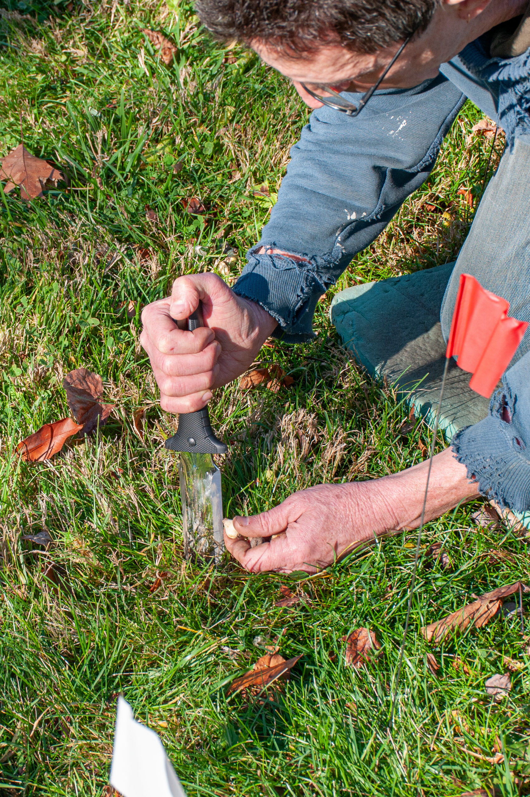Planting a bulb with a hori hori knife