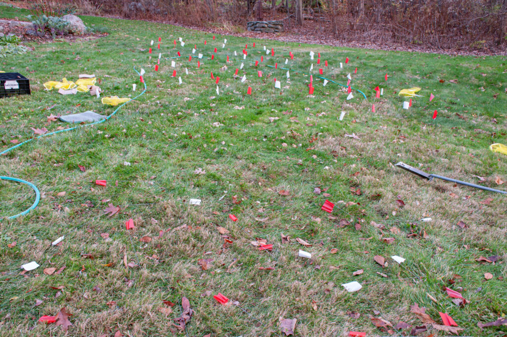 Lawn marked with flags