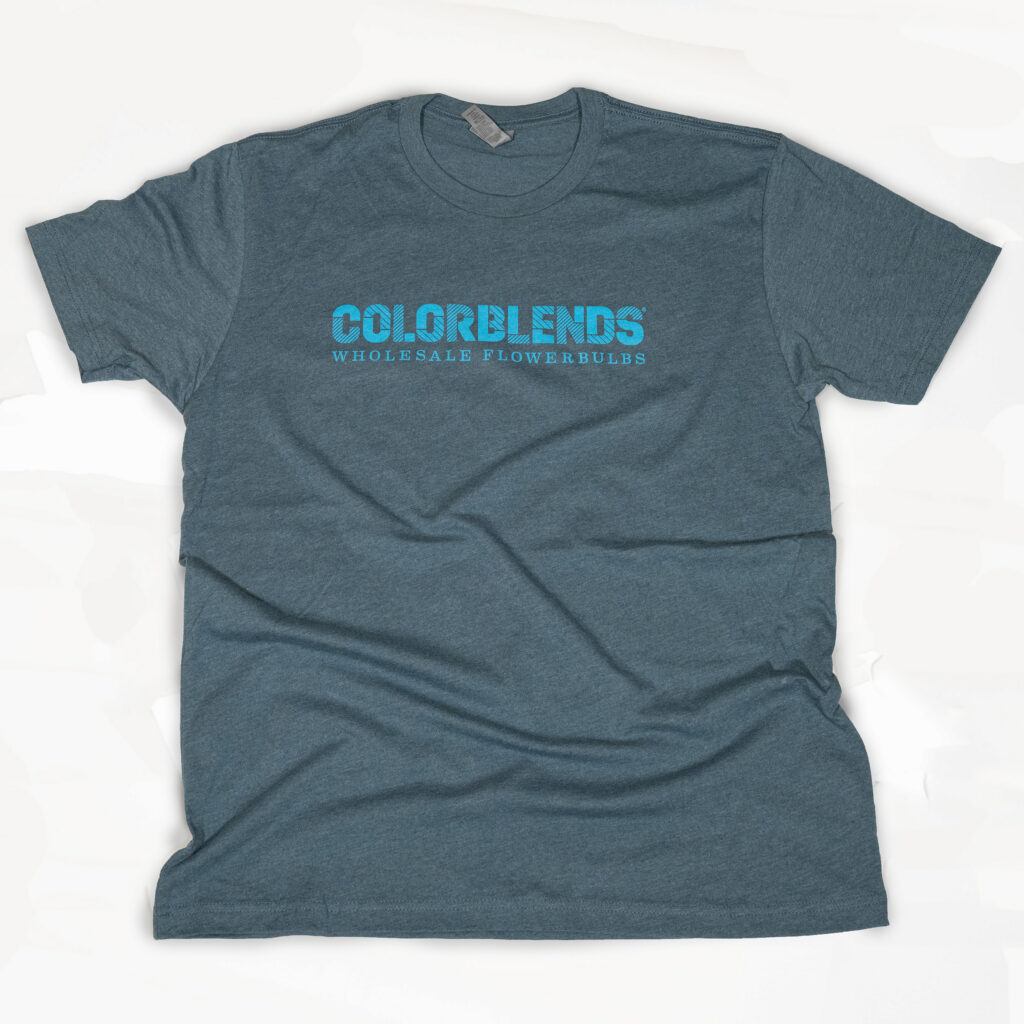 Colorblends short-sleeve t-shirt front